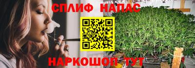 гидропоника Пыть-Ях