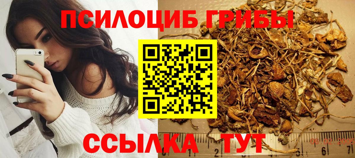 Партизанск  даркнет сайт  Вход с VPN  Галлюциногенные грибы Psilocybe 